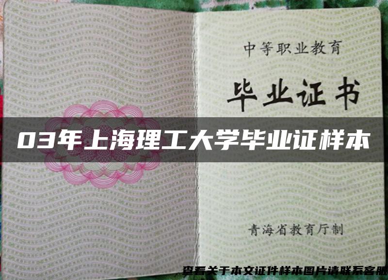 03年上海理工大学毕业证样本