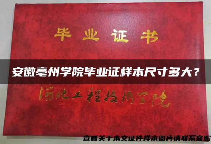 安徽亳州学院毕业证样本尺寸多大？