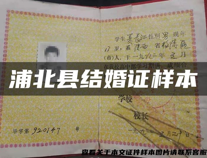 浦北县结婚证样本