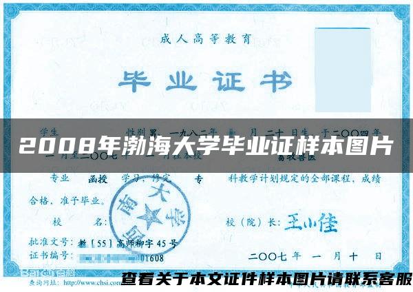 2008年渤海大学毕业证样本图片