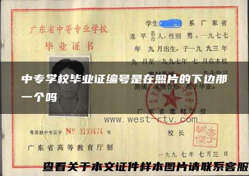 中专学校毕业证编号是在照片的下边那一个吗