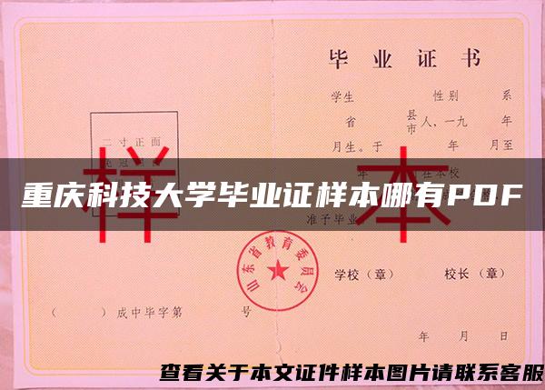 重庆科技大学毕业证样本哪有PDF