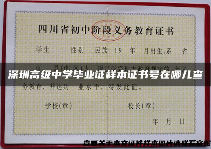 深圳高级中学毕业证样本证书号在哪儿查