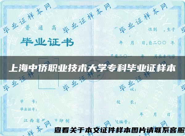 上海中侨职业技术大学专科毕业证样本
