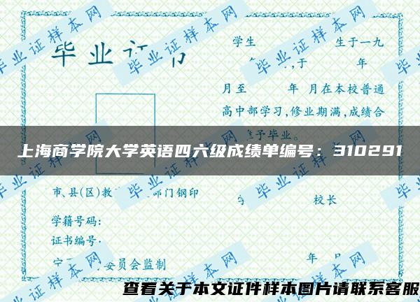上海商学院大学英语四六级成绩单编号：310291