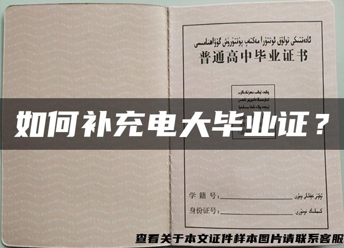 如何补充电大毕业证？