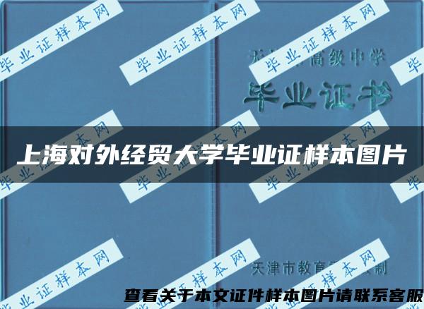 上海对外经贸大学毕业证样本图片