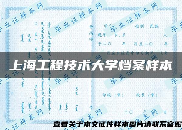 上海工程技术大学档案样本
