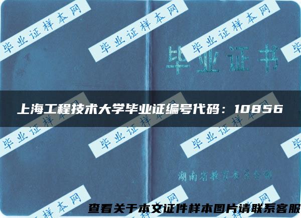 上海工程技术大学毕业证编号代码：10856