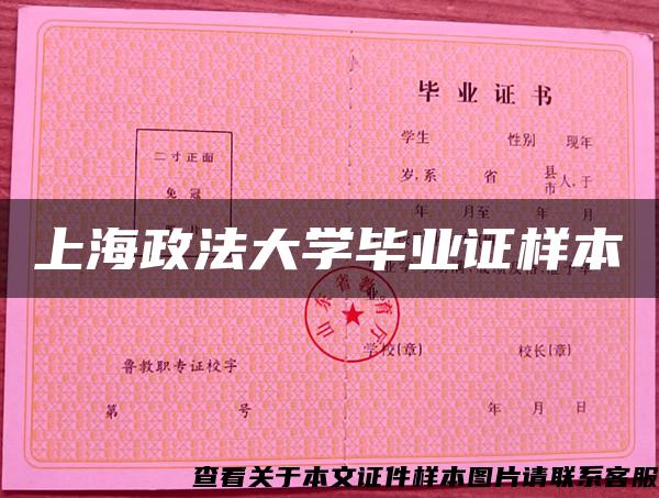 上海政法大学毕业证样本