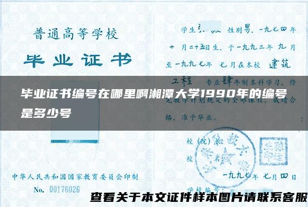 毕业证书编号在哪里啊湘潭大学1990年的编号是多少号