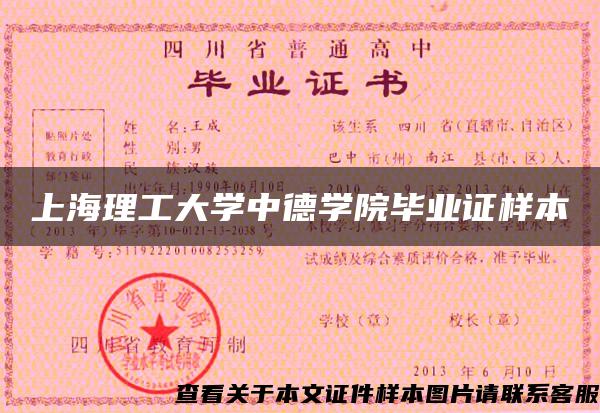 上海理工大学中德学院毕业证样本