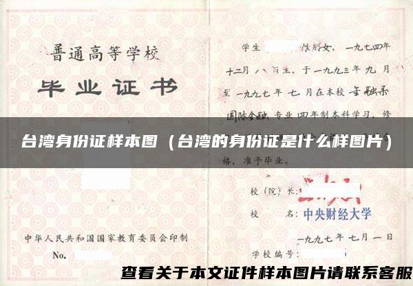 台湾身份证样本图（台湾的身份证是什么样图片）