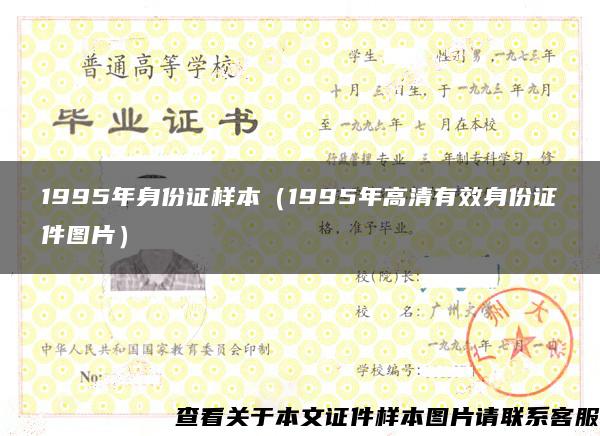 1995年身份证样本（1995年高清有效身份证件图片）