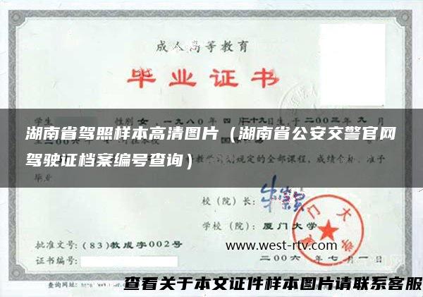 湖南省驾照样本高清图片（湖南省公安交警官网驾驶证档案编号查询）