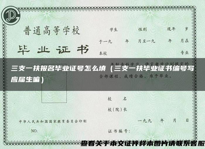 三支一扶报名毕业证号怎么填（三支一扶毕业证书编号写应届生嘛）