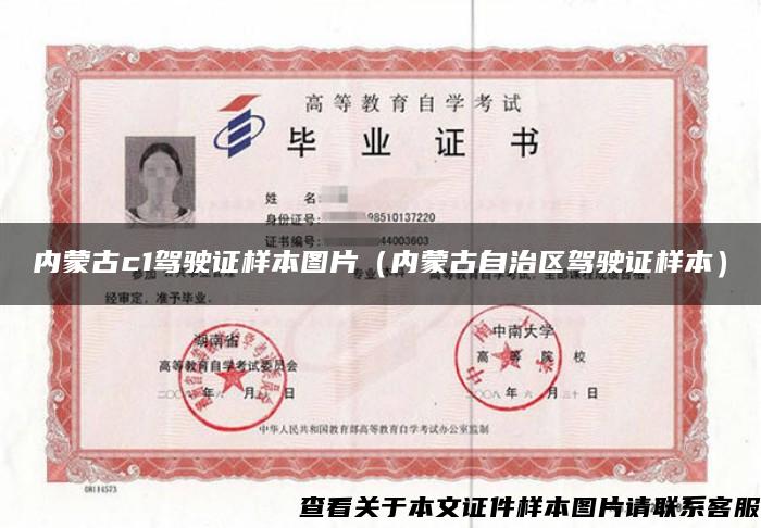 内蒙古c1驾驶证样本图片（内蒙古自治区驾驶证样本）