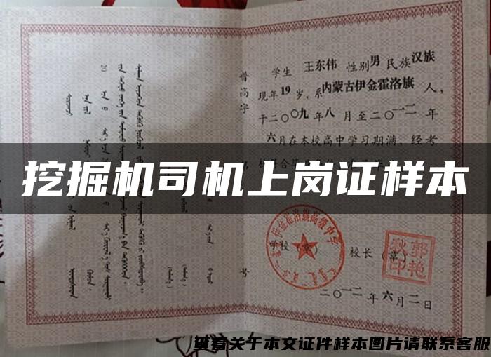 挖掘机司机上岗证样本