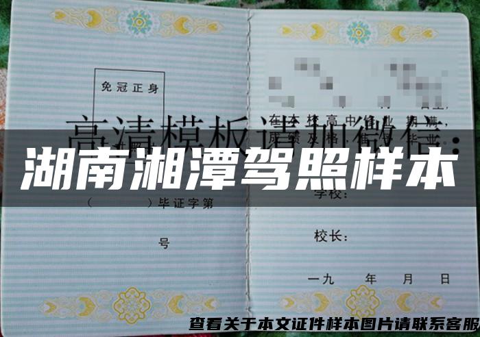 湖南湘潭驾照样本