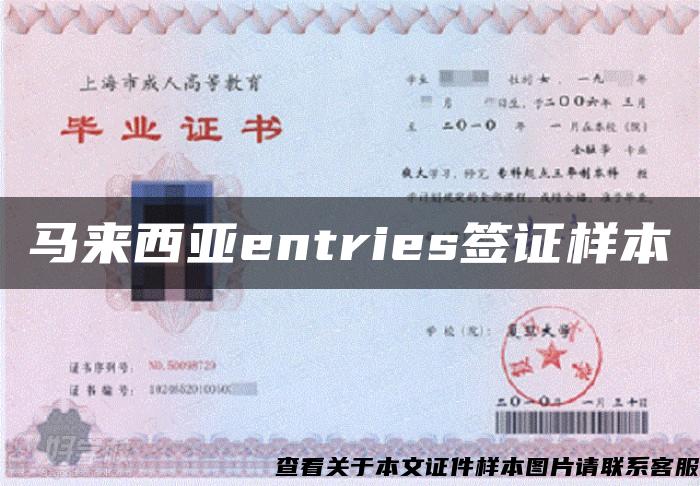 马来西亚entries签证样本