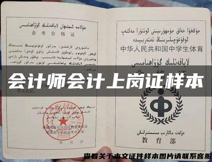 会计师会计上岗证样本