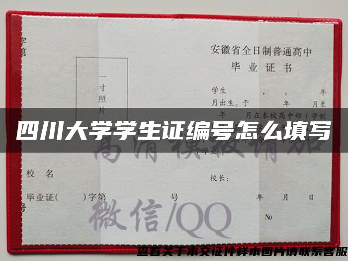 四川大学学生证编号怎么填写