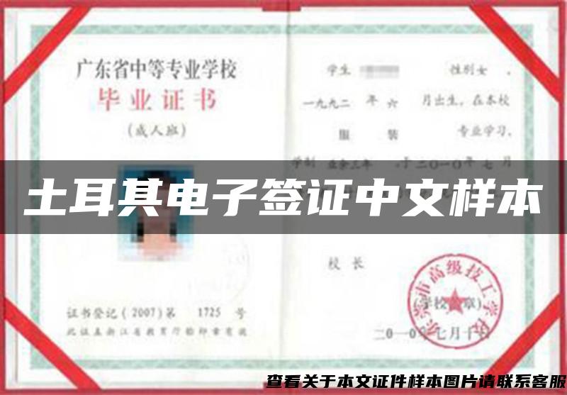 土耳其电子签证中文样本