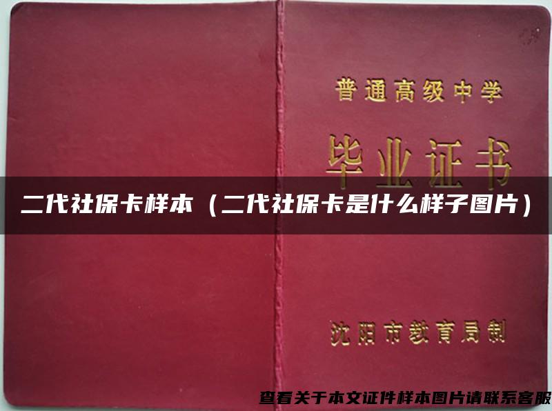 二代社保卡样本（二代社保卡是什么样子图片）