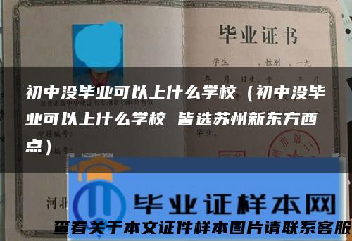 初中没毕业可以上什么学校(初中没毕业可以上什么学校 皆选苏州新东方西点) 初中没毕业可以上什么学校(初中没毕业可以上什么学校 皆选苏州新东方西点)