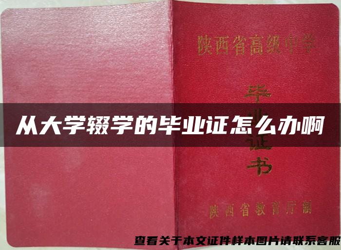 从大学辍学的毕业证怎么办啊