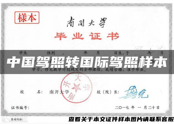 中国驾照转国际驾照样本