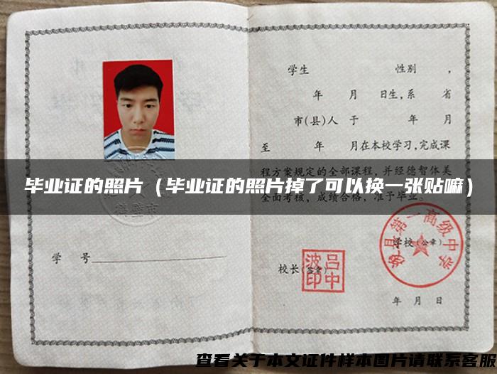 毕业证的照片（毕业证的照片掉了可以换一张贴嘛）