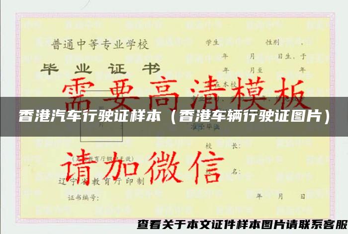 香港汽车行驶证样本（香港车辆行驶证图片）