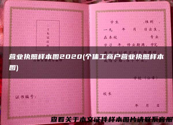 营业执照样本图2020(个体工商户营业执照样本图)