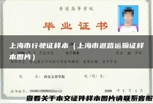 上海市行驶证样本（上海市道路运输证样本图片）