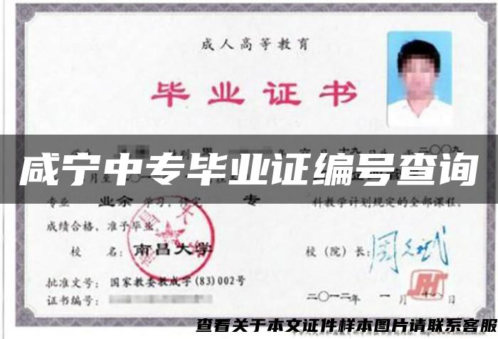 咸宁中专毕业证编号查询 咸宁中专毕业证编号查询