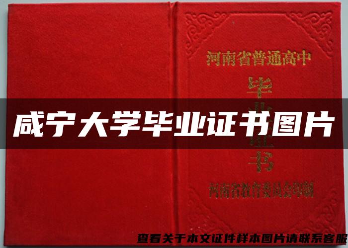 咸宁大学毕业证书图片