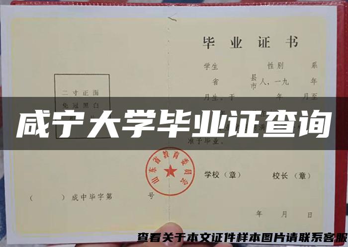 咸宁大学毕业证查询