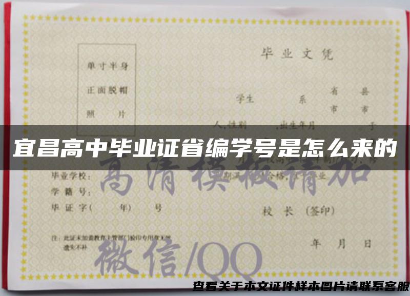 宜昌高中毕业证省编学号是怎么来的