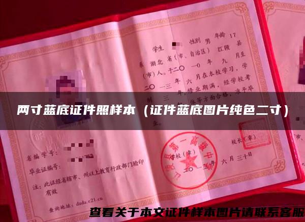 两寸蓝底证件照样本（证件蓝底图片纯色二寸）