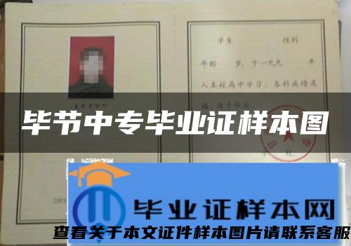 毕节中专毕业证样本图