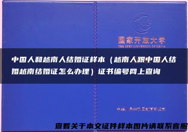 中国人和越南人结婚证样本（越南人跟中国人结婚越南结婚证怎么办理）证书编号网上查询
