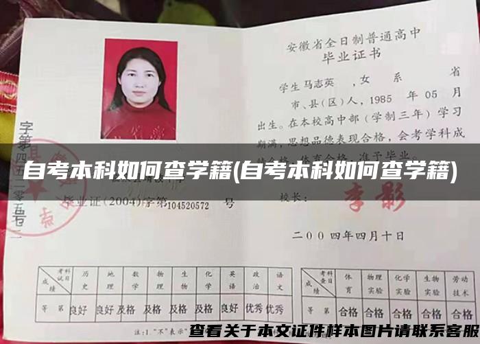 自考本科如何查学籍(自考本科如何查学籍)