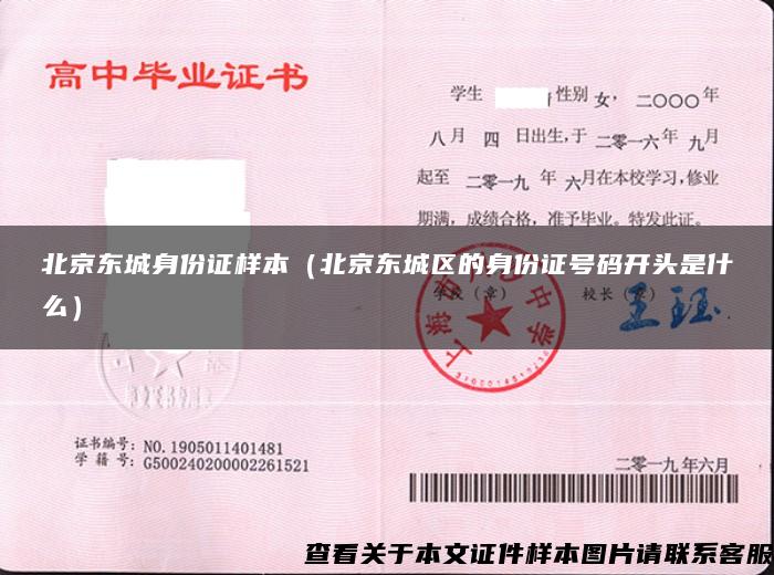 北京东城身份证样本（北京东城区的身份证号码开头是什么）