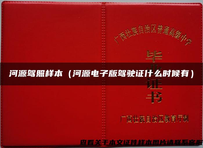 河源驾照样本（河源电子版驾驶证什么时候有）