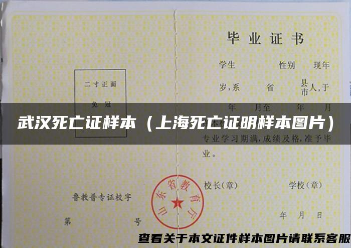 武汉死亡证样本（上海死亡证明样本图片）