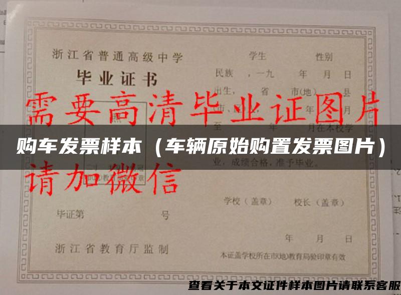 购车发票样本(车辆原始购置发票图片) 购车发票样本(车辆原始购置发票图片)