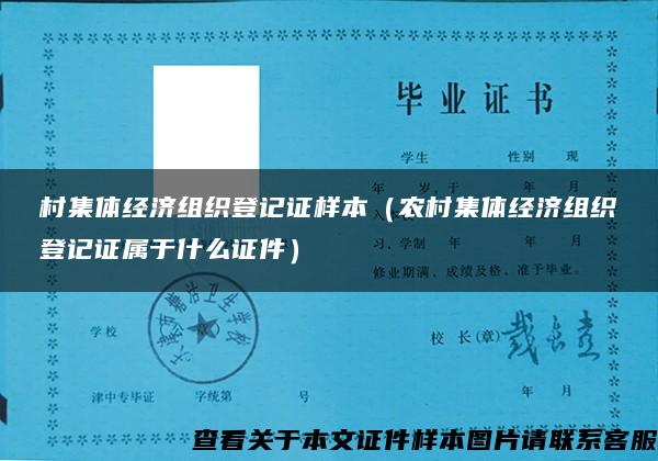 村集体经济组织登记证样本（农村集体经济组织登记证属于什么证件）