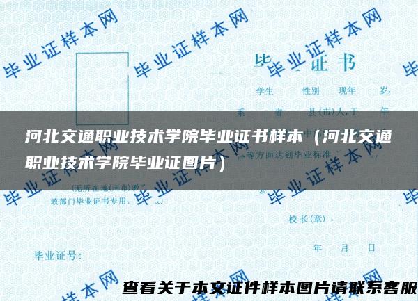 河北交通职业技术学院毕业证书样本（河北交通职业技术学院毕业证图片）