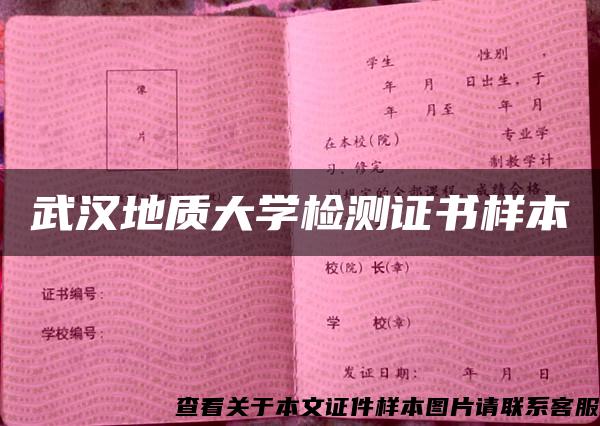 武汉地质大学检测证书样本